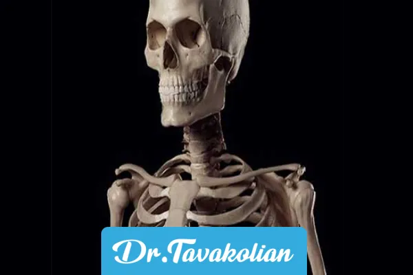 استخوان بدن